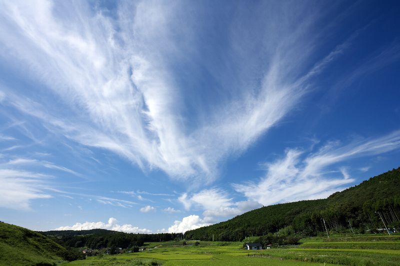 200710-23-03-a0085003_2224158