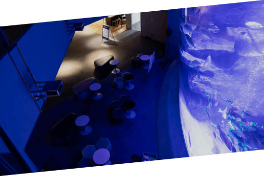 いつもとは違う変わった会場